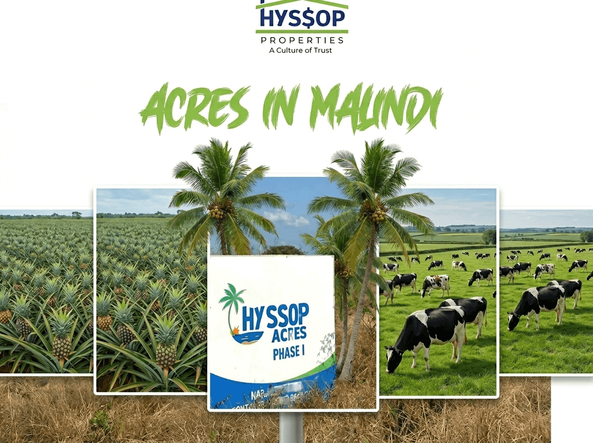 Hyssop Acres, Malindi