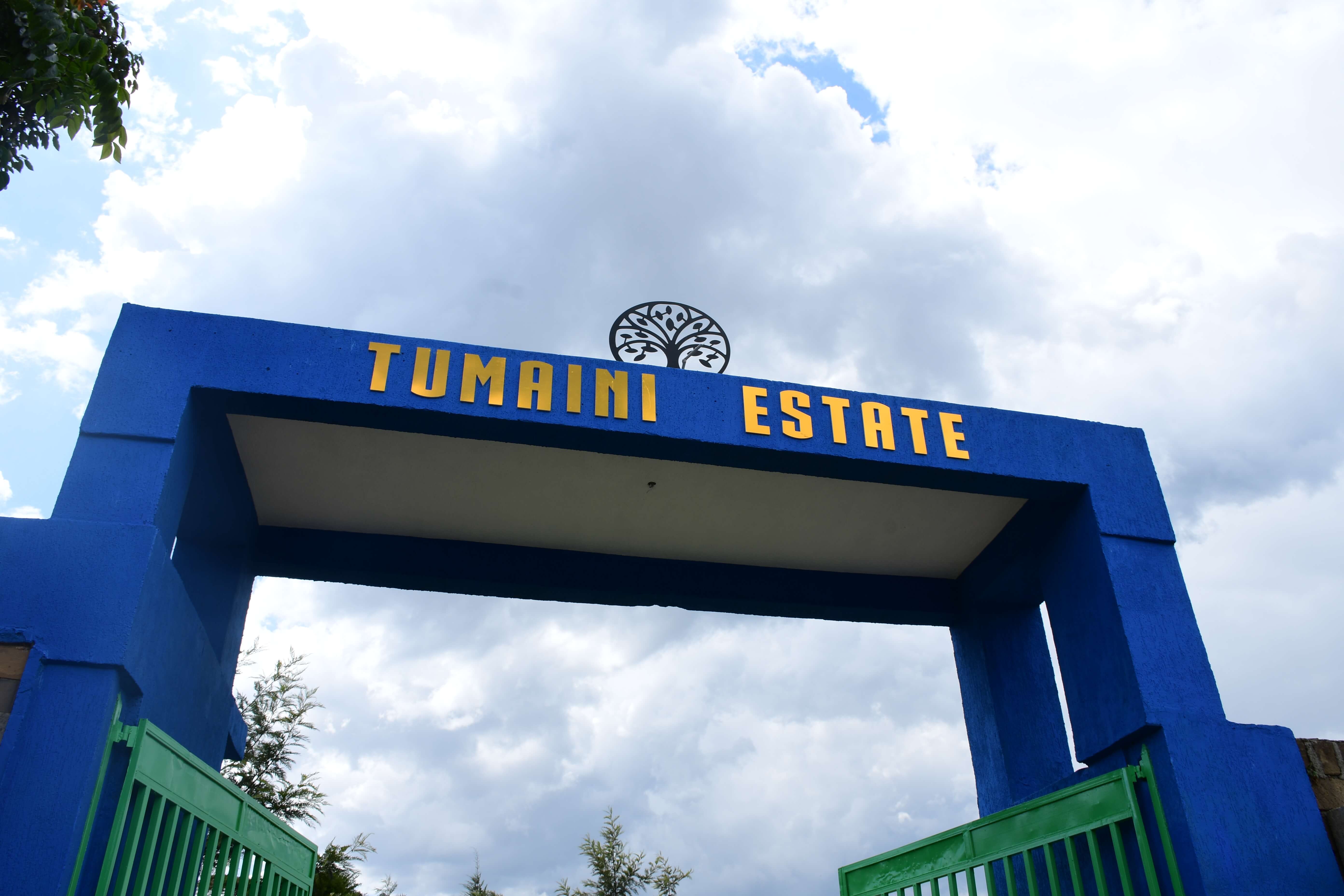 Tumaini Estate aerial video preview